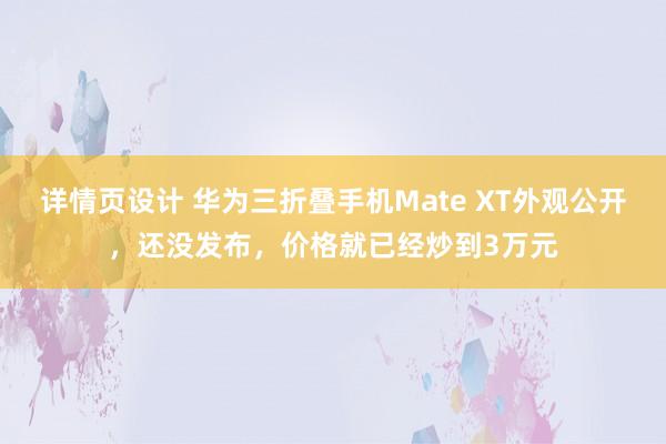 详情页设计 华为三折叠手机Mate XT外观公开，还没发布，价格就已经炒到3万元